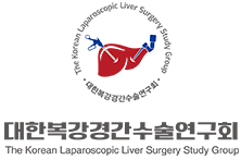 대한복강경간수술연구회